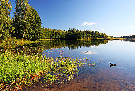 湖,爱沙尼亚