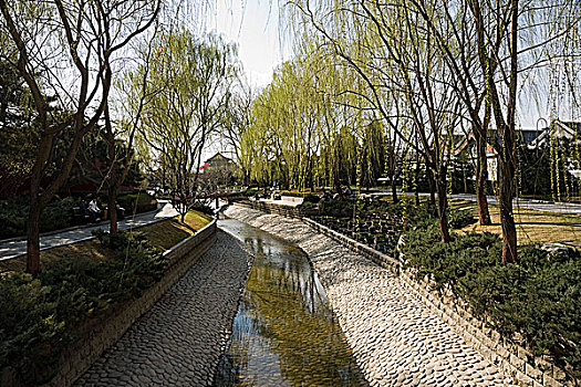 北京菖蒲公园