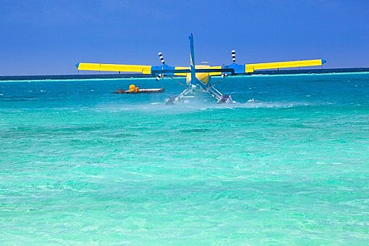 水上飞机,起飞,菩提树,环礁,马尔代夫
