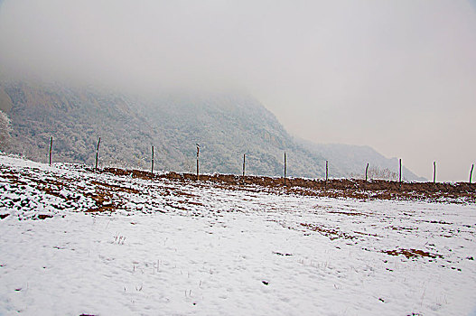 下过雪的土地