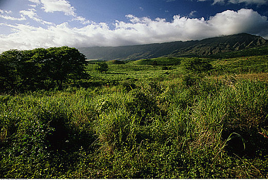 哈莱亚卡拉国家公园,毛伊岛,夏威夷,美国
