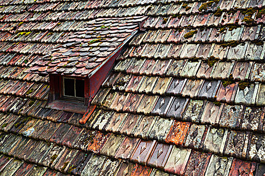 老,风化,屋顶,彩色,砖瓦,沙夫豪森,瑞士,欧洲