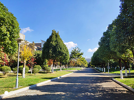 云南省,师范大学