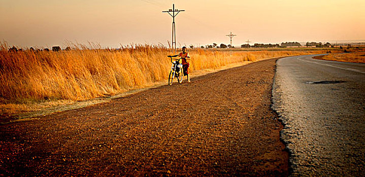 男孩,推,自行车,南非,路边