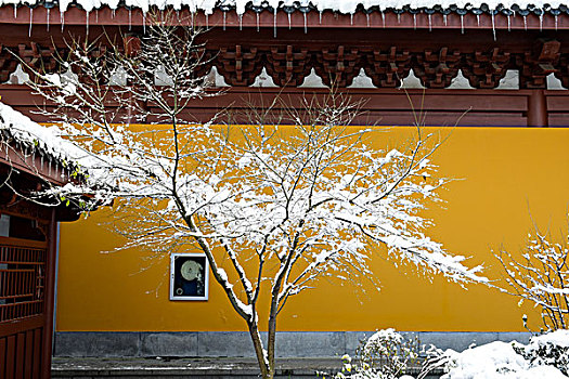 雪景积雪