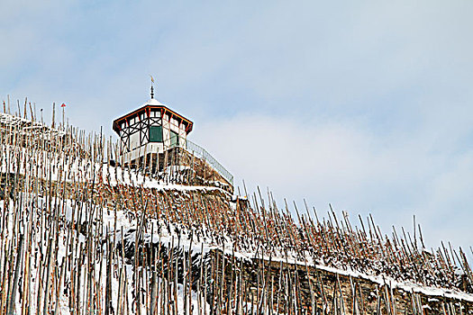 积雪,蔓藤,葡萄园,靠近,莱茵兰普法尔茨州,德国,欧洲