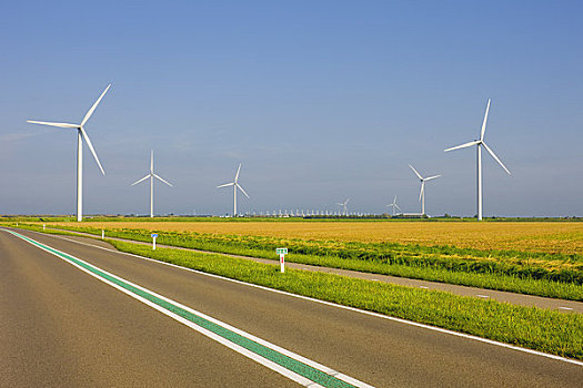 道路,風輪機,荷蘭