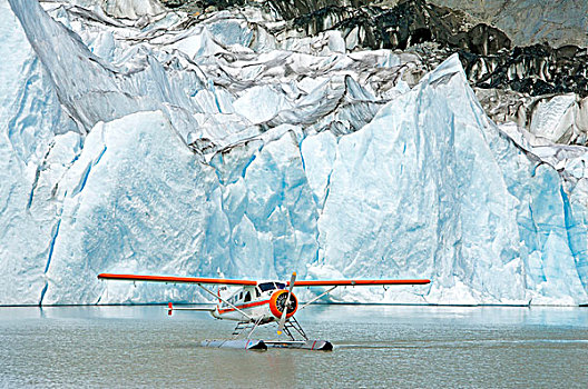 海狸,飞机,湖,海岸,山峦,不列颠哥伦比亚省,加拿大
