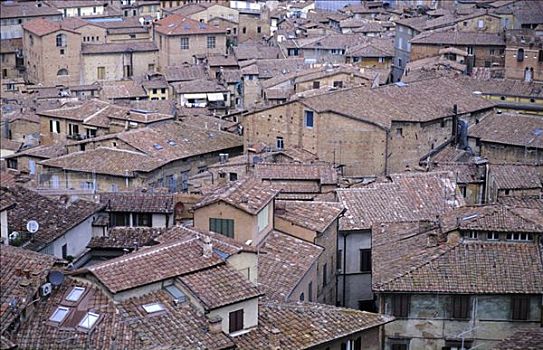 屋顶,锡耶纳,意大利