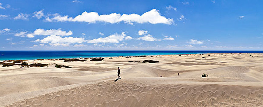 沙丘,大卡纳利岛,加纳利群岛,西班牙,欧洲