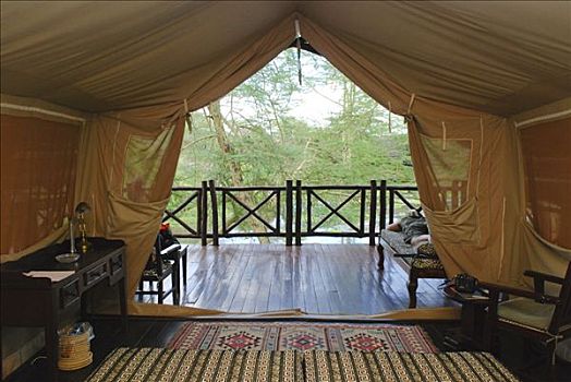 客人,大帐篷,雀,露营,查沃,国家公园,肯尼亚,非洲