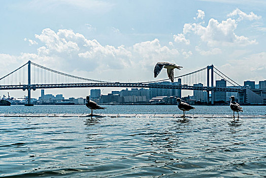 日本城市风景