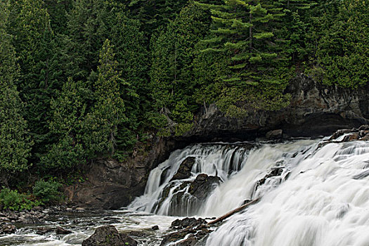 瀑布,树林,河,魁北克,加拿大