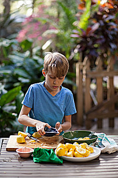 男孩,准备,柠檬,柠檬水,花园桌