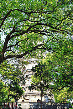 中国江苏省苏州虎丘风景区虎丘塔云岩寺塔