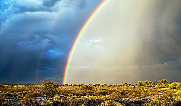 一对,彩虹,上方,卡拉哈里沙漠,卡拉哈迪大羚羊国家公园,博茨瓦纳