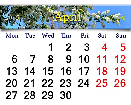 日程,四月,图像,鸟,樱桃树