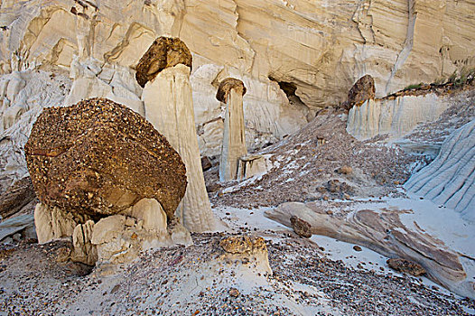 怪岩柱,大阶梯-埃斯卡兰特国家保护区,靠近,大,水,犹他,亚利桑那