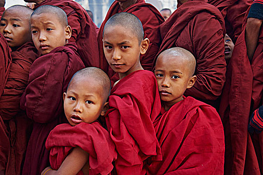 僧侣,满月,节日,蒲甘,缅甸,亚洲