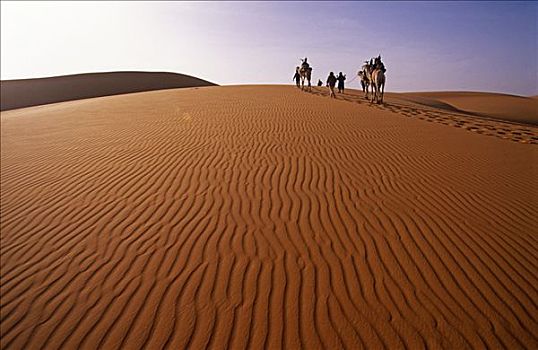 尼日尔,沙漠,骆驼,驼队,旅行,空气,山峦,保护区,非洲,遮盖,上方,火山,山丘,岛屿,隔绝