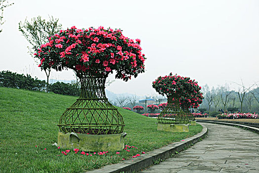 杜鹃花花篮造型