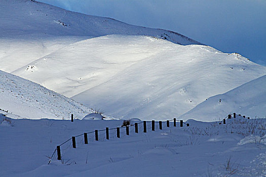 积雪,农田,旁侧,公路,奥塔哥,南岛,新西兰