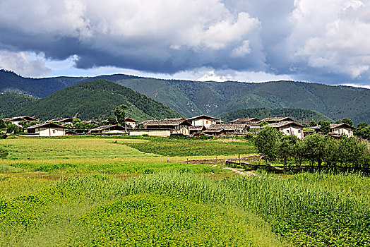 香格里拉风景