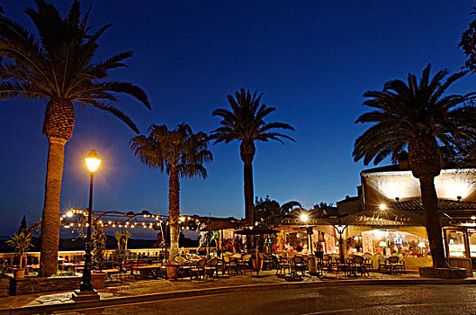 户外,餐馆,棕榈树,树,夜晚,区域,法国,欧洲