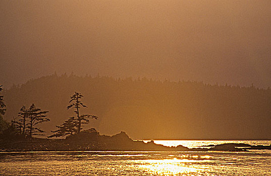 沿岸,日落,夏洛特女王岛,不列颠哥伦比亚省,加拿大