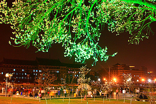 吉林长春文化广场夜景花卉