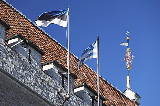 爱沙尼亚,塔林,屋顶,市政厅