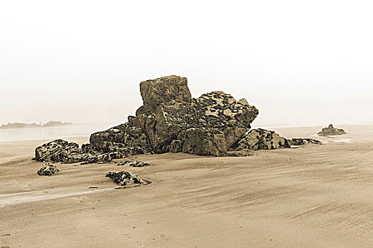石头,沙子