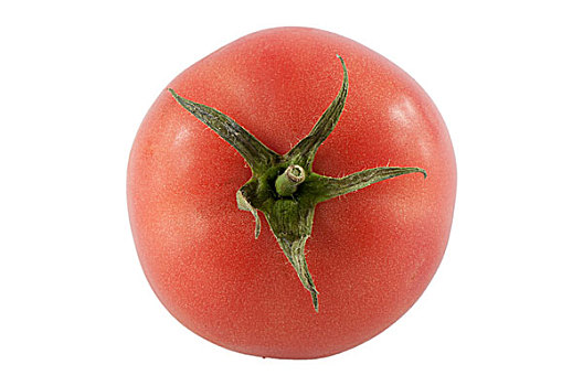 西红柿
