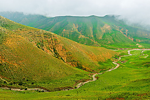 高原牧场草原风光