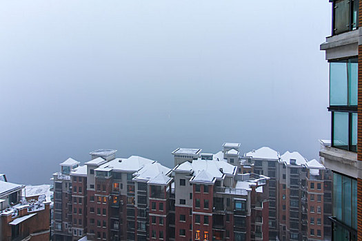 武汉沙湖雪景