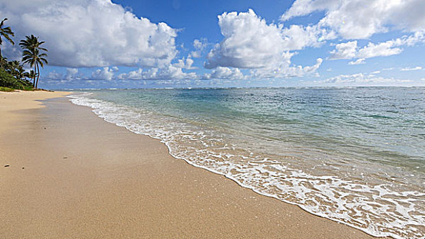 海滩,向风,瓦胡岛,夏威夷