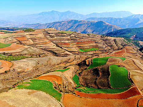 云南东川红土地