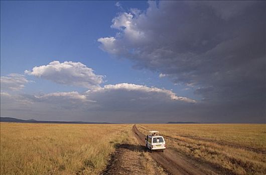 生态游游客,塞伦盖蒂,生态系统,肯尼亚,坦桑尼亚,边界