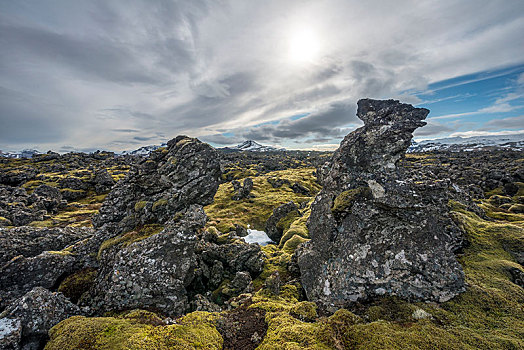 苔藓密布,熔岩原,火山岩,石头,火山,斯奈山半岛,西部,冰岛,欧洲