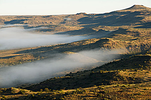 风景,游戏,牧场,南非