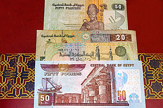 埃及,货币,磅,北非,非洲
