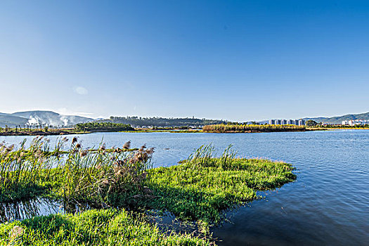 湿地,异龙湖国家湿地公园