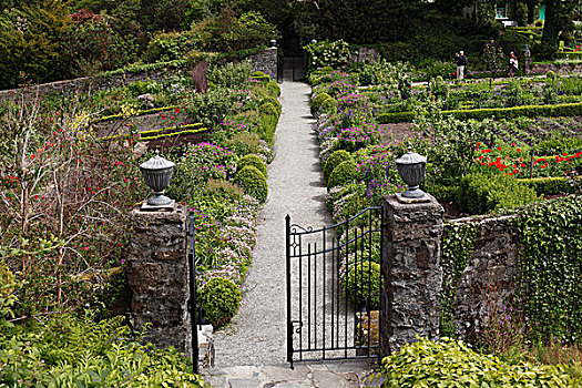 花园,城堡,多纳格,爱尔兰,欧洲