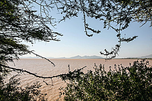 湖,区域,奥莫,局部,南方,埃塞俄比亚,国家公园