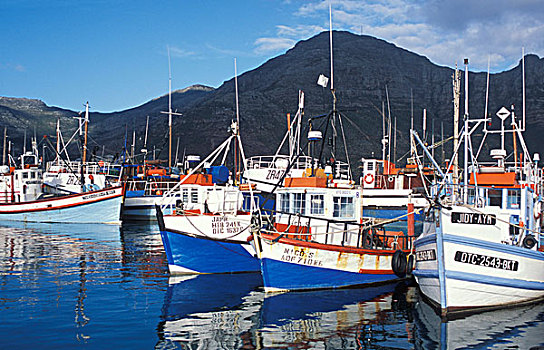 捕鱼,船,港口,湾,开普敦,西海角,南非,非洲