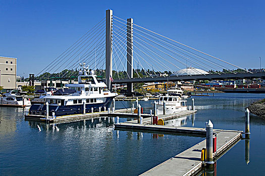 游艇,码头,吊桥,背景,降落,塔科马,皮尔斯县,华盛顿,美国
