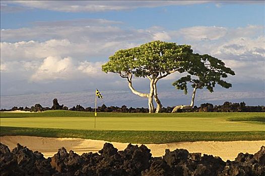 夏威夷,夏威夷大岛,四季,高尔夫球场,胜地