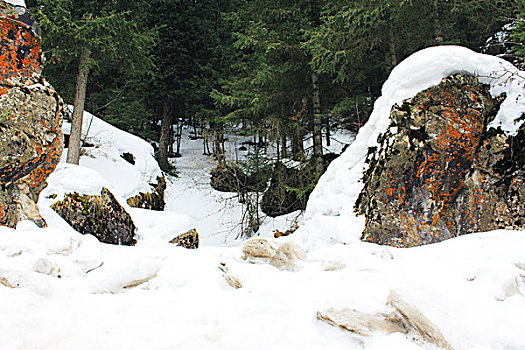 雪景