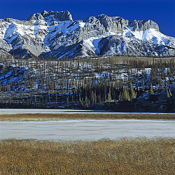 湖,正面,山,碧玉国家公园,艾伯塔省,加拿大