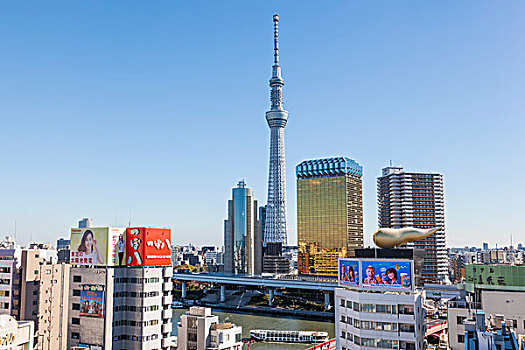 日本,本州,东京,浅草,天空,树